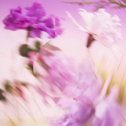 CHANCE EAU SPLENDIDE